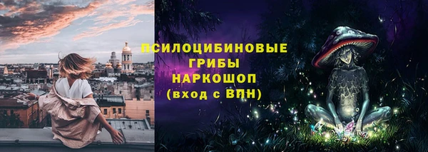 бошки Абаза