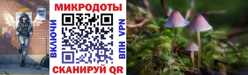 Псилоцибиновые грибы Cubensis  наркошоп  Хасавюрт 
