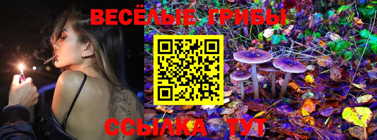 Псилоцибиновые грибы Psilocybe  Галлюциногенные грибы Psilocybine cubensis  Вход с VPN  Хасавюрт 